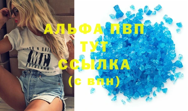 сатива Баксан
