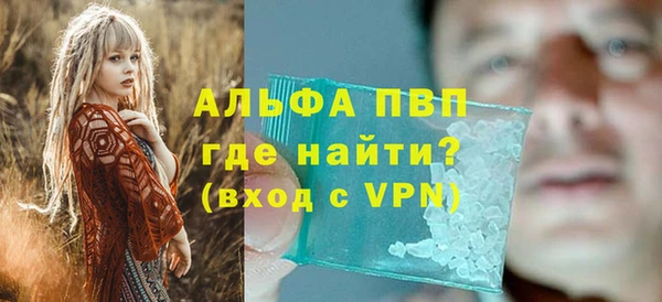 сатива Баксан